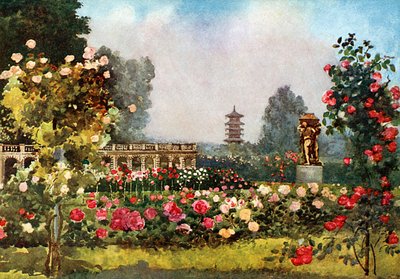 The Orangery，Laeken 作者 咪玛·尼克松（Mima Nixon）