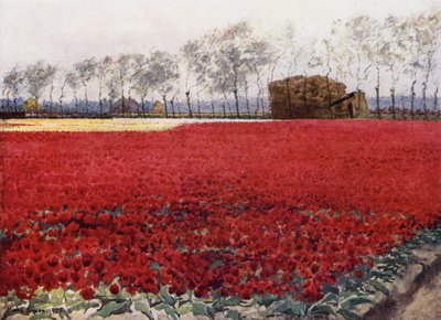 "Whose leaves with their crimson glow Hide the heart that lies burning and black below" (colour litho) 作者 咪玛·尼克松（Mima Nixon）