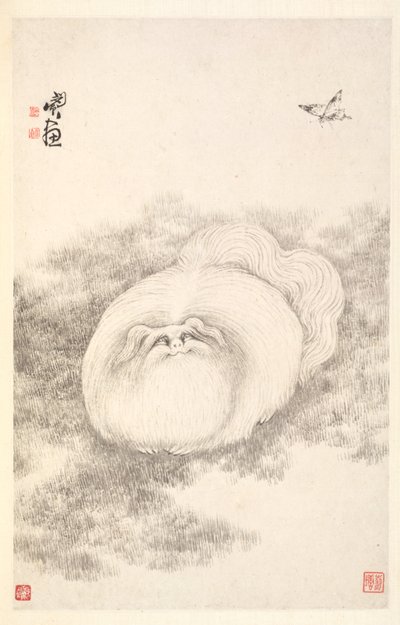 猫和蝴蝶，1788年。 作者 敏珍