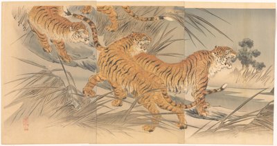 老虎和士兵 作者 三岛书庄