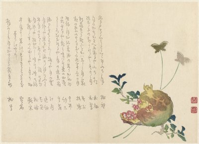 石榴 作者 三宅荣卫