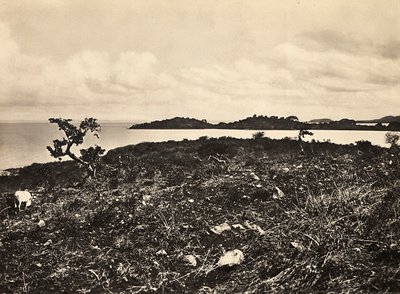 Building an Empire in the Fascist age: Lake Tana. Ethiopia, 09/05/1936 (b/w photo) 作者 莫迪斯蒂诺·巴尔迪内蒂
