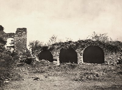 在法西斯时代建立一个帝国：1936年5月9日，埃塞俄比亚贡达尔法西拉达斯国王城堡的狮子沟（黑白照片）。 作者 莫迪斯蒂诺·巴尔迪内蒂