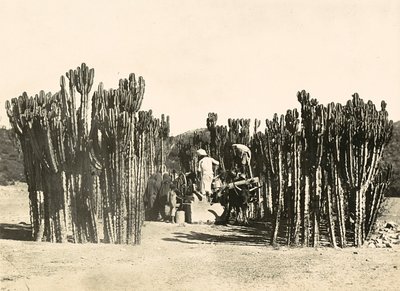 在法西斯时代建立一个帝国：纳克法的井，1936年5月9日（黑白照片）。 作者 莫迪斯蒂诺·巴尔迪内蒂