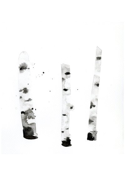 幽灵桦树》，2022 年（水彩画，印在兰顿 300 克冷压纸上） 作者 莫妮卡·佩雷斯·维加
