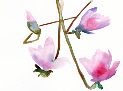 玉兰 1》，2022 年（水彩画，印在兰顿 300 克冷压纸上） 作者 莫妮卡·佩雷斯·维加