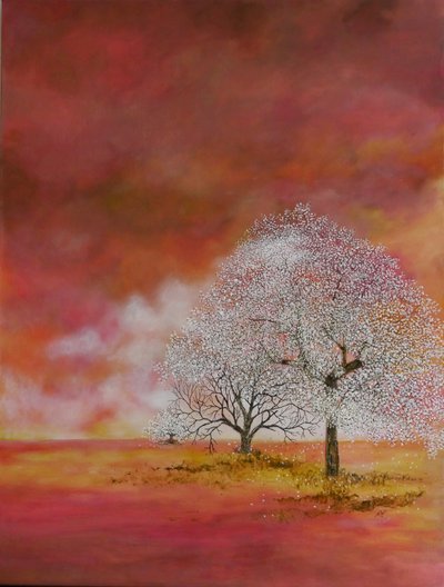 和超越的宇宙 作者 莫妮卡·维特里希（Monika Wittrich）