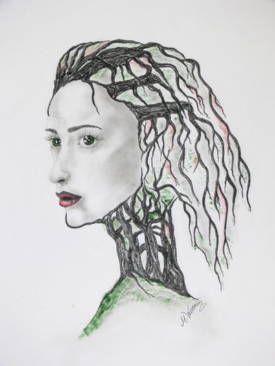 树木死亡 作者 莫妮卡·维特里希（Monika Wittrich）