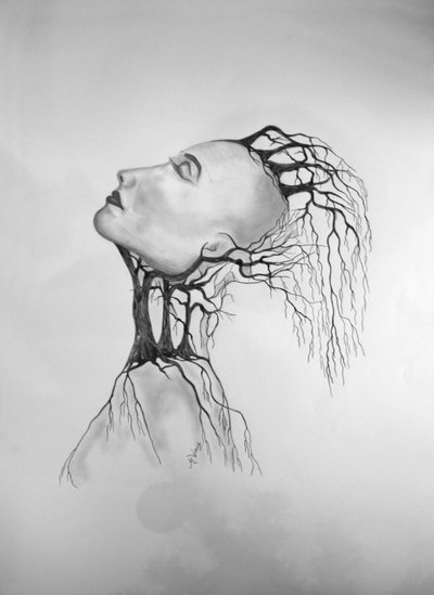 垂死的树2 作者 莫妮卡·维特里希（Monika Wittrich）