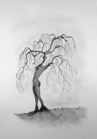 垂死的树3 作者 莫妮卡·维特里希（Monika Wittrich）