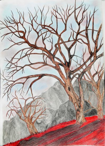 最后一张 作者 莫妮卡·维特里希（Monika Wittrich）