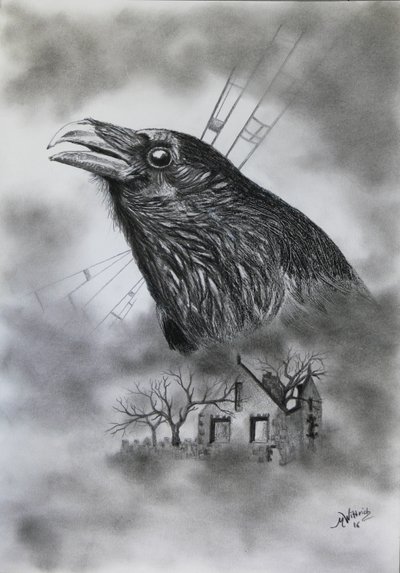 家 作者 莫妮卡·维特里希（Monika Wittrich）