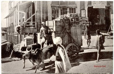 Bullock-Cart，c.1900-20 作者 Moorli Dhur和儿子