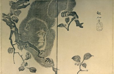 猴子，1815年，1924年。 作者 森创泉