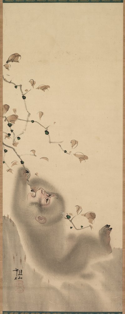 猴子挂在树枝上，1780年。 作者 森创泉