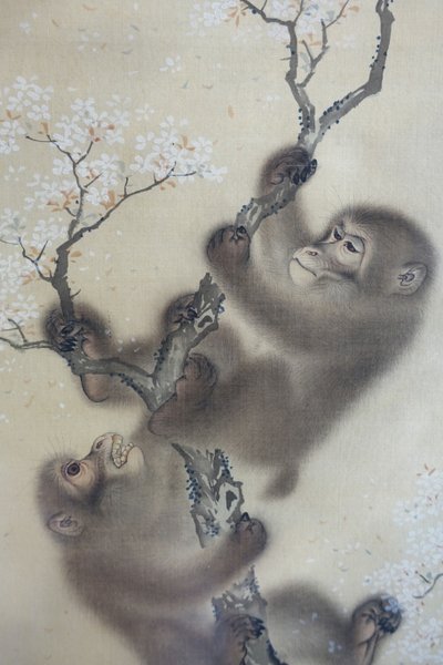樱花树上的猴子》，2 件中的 1 件，Mori Sosen，日本江户时代，19 世纪早期，绢本水墨设色 - 哈佛大学亚瑟-M-赛克勒博物馆 - DSC01127 作者 森创泉