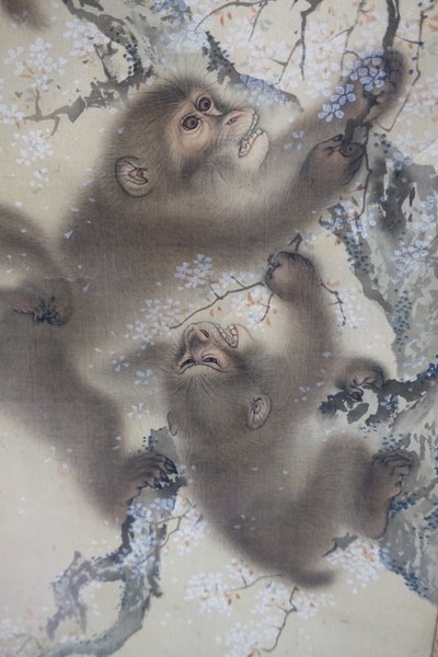 樱花树上的猴子》，2 之 2，Mori Sosen，日本江户时代，19 世纪早期，绢本水墨设色 - 哈佛大学亚瑟-M-赛克勒博物馆 - DSC01128 作者 森创泉