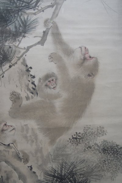 森索森，瀑布前松树林中的猴子 作者 森创泉