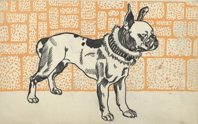 比特犬梗，1912年。 作者 莫里茨荣格