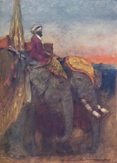 斋浦尔大象》，1903年 作者 莫蒂默·卢丁顿·门佩斯