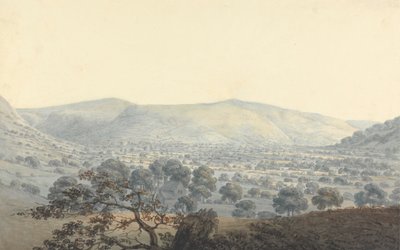 Distant view of Llandrillo   1443420   zh       chinese Successfully Translated  Original: Leucopogon virgatus (Epacridaceae) - Plate 193, Banks Florilegium, c.1771-84 (copperplate engraving on paper) Translat: Leucopogon virgatus (Epacridaceae) - Plate 19 作者 摩西·格里菲斯（Moses Griffith）