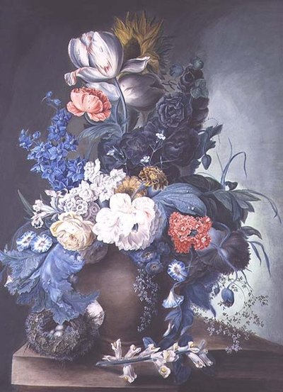 罐子里的花和鸟巢组合 作者 玛格丽特·梅恩夫人