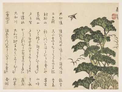 大树和鸟，c.1830-44（彩色木版画） 作者 村田Kagen