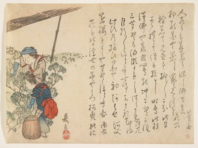 采茶机，c.1830-44（彩色木版画） 作者 村田Kagen
