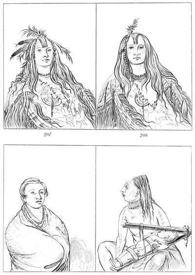 扁平头，内兹珀斯人和奇努克人，1841年。 作者 迈尔斯公司