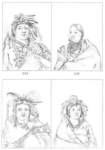 薄荷胺，1841年。 作者 迈尔斯公司
