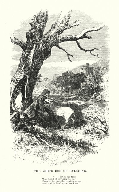 威廉-华兹华斯里尔斯通的白母鹿》（雕刻）。 作者 迈尔斯·比克（Myles Birket）（之后）福斯特（Foster）
