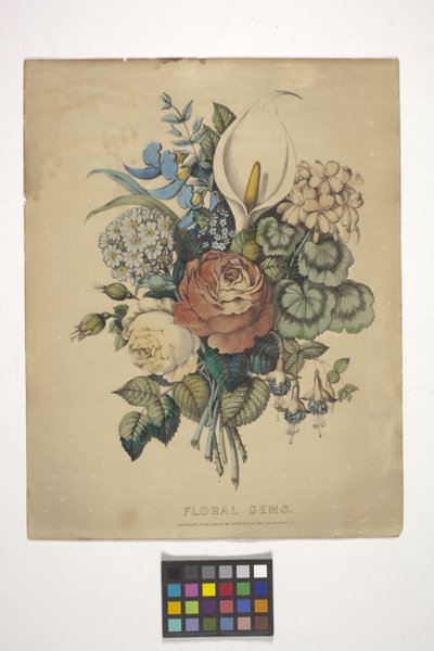 花卉宝石（手绘彩色石版画） 作者 N. 和 Ives JM (1824 95) 库里尔