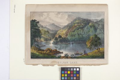 Sylvan Lake（手绘石版画） 作者 N. 和 Ives JM (1824 95) 库里尔