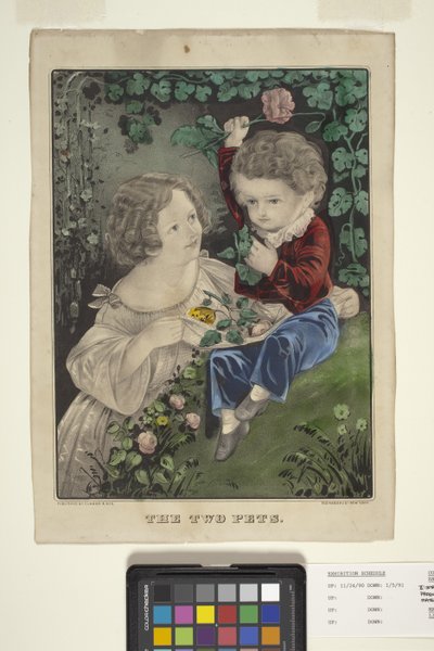 两只宠物（手绘石版画） 作者 N. 和 Ives JM (1824 95) 库里尔
