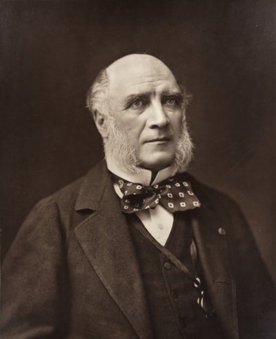 埃利-路易，德卡兹公爵 法国政治家和外交家，1819-1886，约185377。 作者 纳达尔