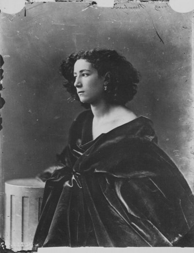 莎拉-伯恩哈特，法国女演员，约1865年 作者 纳达尔