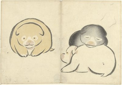 三只小狗
科林的相册（系列名称）
科林的画册（系列名称） 作者 松田慎介（可能）