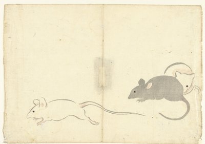三只老鼠
Korin 画册（系列名称）
科林加富（系列名称） 作者 松田慎介（可能）