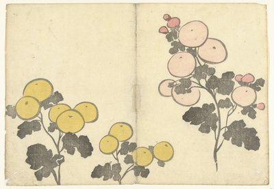 风格化的黄色和粉色花朵
Korin 的印刷画册（系列名称）
Korin gafu（系列名称） 作者 松田慎介（可能）