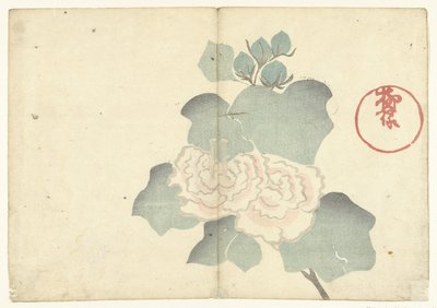 牡丹
Korin（系列名称）印刷画册
Korin gafu（实物上的系列名称） 作者 松田慎介（可能）