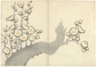 梅花
Korin gaveu（系列名称）
梅花（系列名称） 作者 松田慎介（可能）