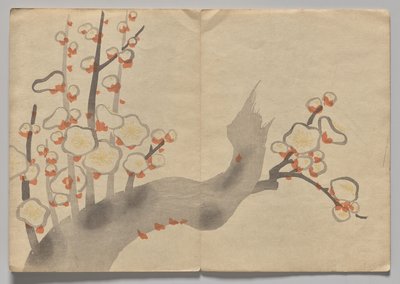 光林图画书》场景（第二卷） 作者 中村保中