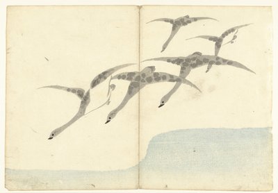 五只飞雁
科林（系列名称）印刷画册
Korin gafu（系列名称） 作者 松田慎介（可能）
