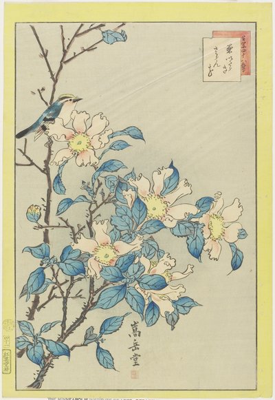 蓝鸟和粉红色的花朵，1859年（彩色木版画） 作者 Nakayama Sugakudo