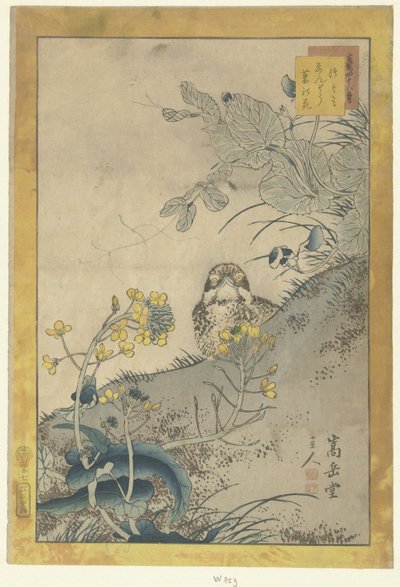 幼鸟、开花的豌豆和油菜籽
Tsugumi endo nanohana（物体上的标题）
四十八幅素描
Ikiutsutsu yojuhachiban（物品上的系列名称） 作者 茑屋吉三