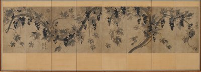 葡萄藤 作者 南谷 南谷