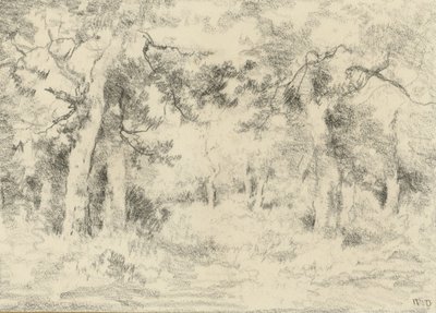 夏天的森林景观 作者 Narcisse Virgile Diaz de laPeña