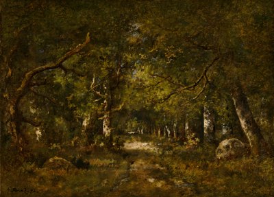 森林景象，1874年。 作者 Narcisse Virgile Diaz de laPeña