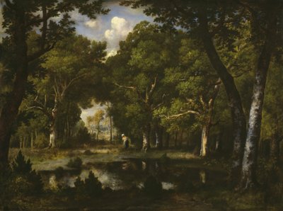 森林中的池塘，1862年。 作者 Narcisse Virgile Diaz de laPeña