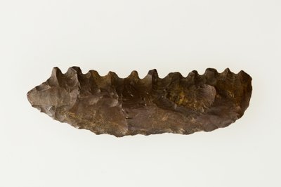 双面镰刀，约公元前4500-4000年（燧石）。 作者 新石器时代新石器时代